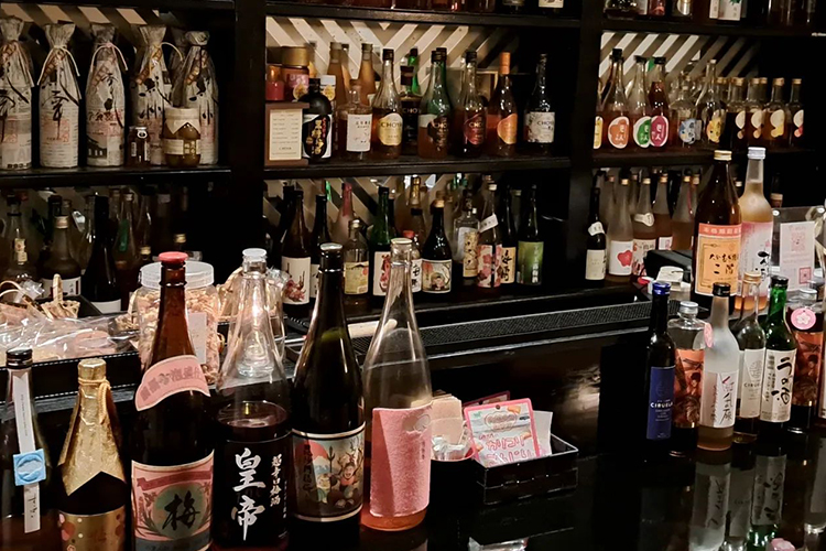 Bar serendipity ～梅酒専門～